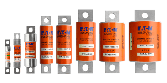 EVK fuse family picture (1).png